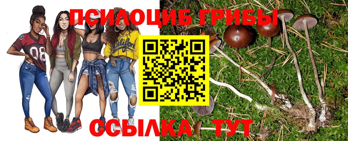 Галлюциногенные грибы Psilocybe  Вход с VPN  Конаково 